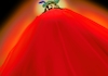 Cartoon: King maymun the goblin cloud (small) by sal tagged cartoon