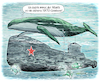 Cartoon: Wal Timmy (small) by Ritter-Cartoons tagged drama,um,wal,timmy,pressekarikaturen,und,cartoons,von,berthold,ritter,facebook,seite,ritterkarikaturen