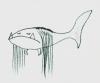 Cartoon: Menschenhai (small) by armella tagged fisch,hai,comic