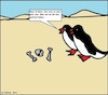 Cartoon: Glatt... (small) by Sven1978 tagged glatt,glatteis,wüste,pinguine