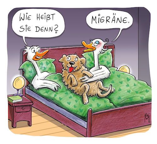 Cartoon: Migräne (medium) by Rebecca-Meyer tagged migräne,bett,paar,gänse,hundimbett,ausrede,frau,mann,imbett,kopfschmerzen,weltkopfschmerztag,dialog,beziehung,paarimbett,migräne,bett,paar,gänse,hundimbett,ausrede,frau,mann,kopfschmerzen,weltkopfschmerztag,dialog,beziehung