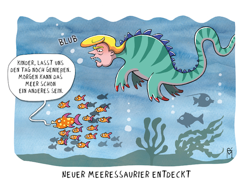 Trump Trump