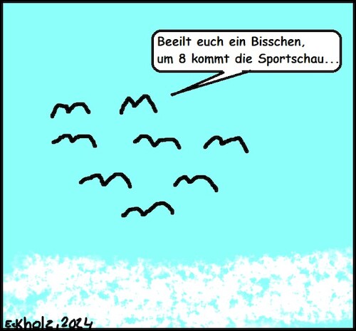 Cartoon: Beeilt euch... (medium) by Fettsau1978 tagged beeilung,vögel,sportschau,eile,tiere,tv