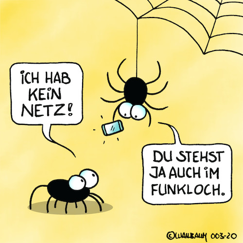 Arme Spinne