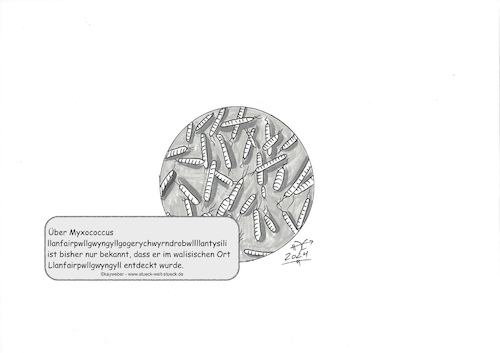 Cartoon: Myxococcus (medium) by Kay Weber tagged biologie,wissenschaft,forschung,mikroorganismen,bakterien,erreger,gesundheit,krankheit,labor,mikroskop