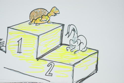 Cartoon: kaplumbaga ve tavsan (medium) by MSB tagged kaplombaga,ve,tavsan