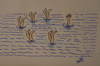 Cartoon: senkronize (small) by MSB tagged yüzme