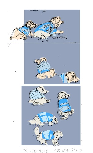 Cartoon: Bo Bo (medium) by gungor tagged dog,bo