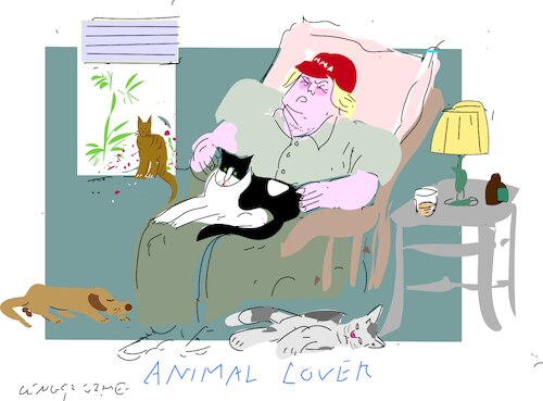 Cartoon: Cats and Dogs (medium) by gungor tagged animal,lover,animal,lover