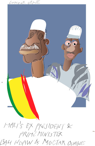 Cartoon: Diplomacy in Mali (medium) by gungor tagged military,coup,in,mali,military,coup,in,mali