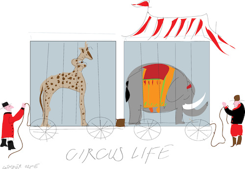 Cartoon: Giraffe and Cage (medium) by gungor tagged circus,life,and,animals,circus,life,and,animals