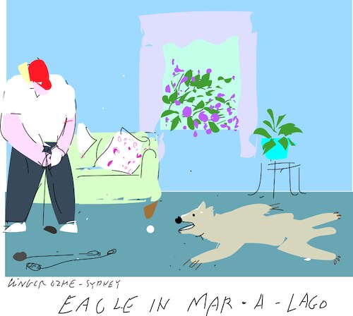 Cartoon: Golfing inside Mar a lago (medium) by gungor tagged golfing,in,the,room,golfing,in,the,room