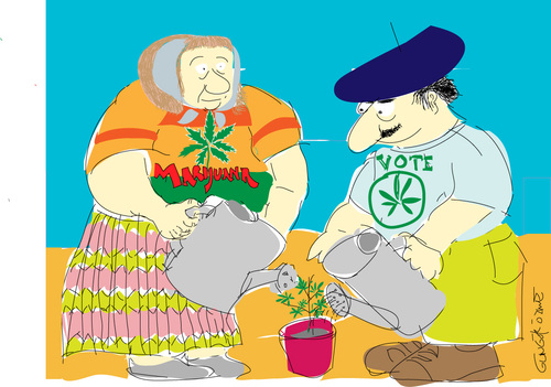 Cartoon: Marijuana (medium) by gungor tagged spain