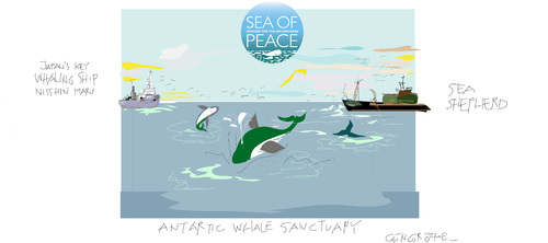 Cartoon: Whaling sans Frontier (medium) by gungor tagged greenpeace