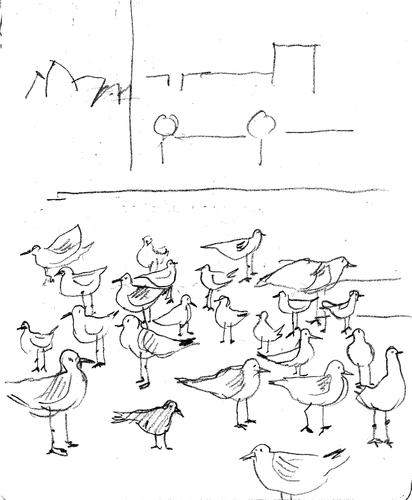 Cartoon: Sea Gulls-2 (medium) by gungor tagged australia