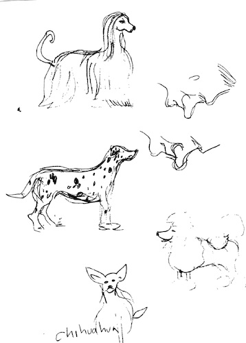 Cartoon: Sketches No.109 and No 110 (medium) by gungor tagged animal,sketching,no,animal,sketching
