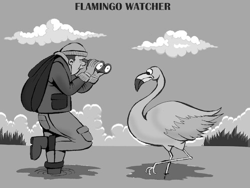 Cartoon: Bird Watcher... (medium) by berk-olgun tagged bird,watcher