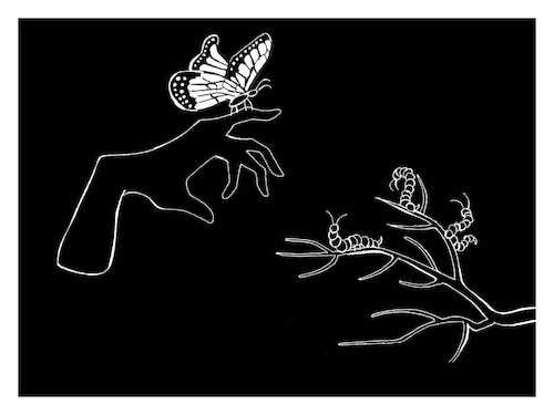 Cartoon: Butterfly... (medium) by berk-olgun tagged butterfly