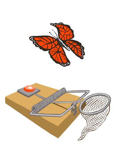 Cartoon: Butterfly Trap... (medium) by berk-olgun tagged butterfly,trap