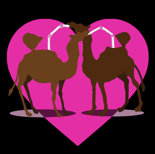 Cartoon: Camel in Love... (medium) by berk-olgun tagged camel,in,love