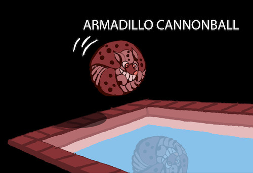 Cartoon: Cannonball... (medium) by berk-olgun tagged cannonball