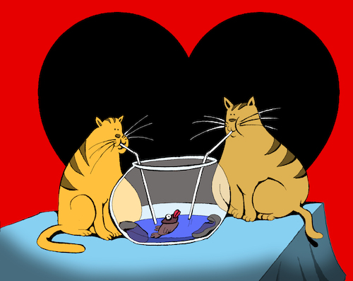 Cartoon: Cat in Love... (medium) by berk-olgun tagged cat,in,love