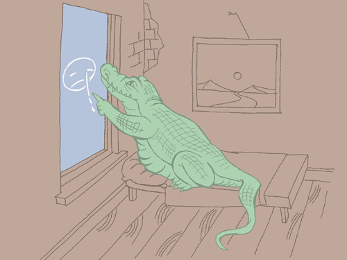 Cartoon: Crocodile Tears... (medium) by berk-olgun tagged crocodile,tears