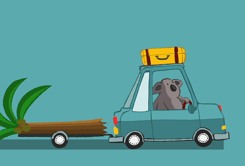 Cartoon: Koala Caravan ... (medium) by berk-olgun tagged koala,caravan