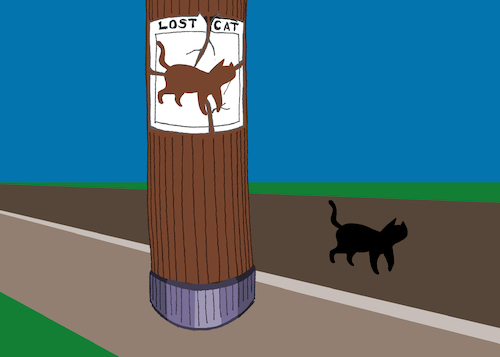 Cartoon: Lost Cat... (medium) by berk-olgun tagged lost,cat