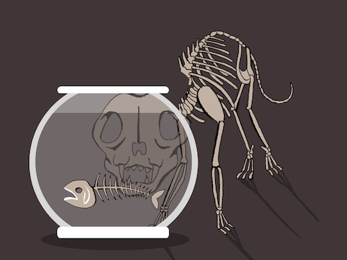 Cartoon: No Comment ... (medium) by berk-olgun tagged no,comment