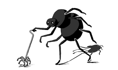 Cartoon: Old Spider... (medium) by berk-olgun tagged old,spider