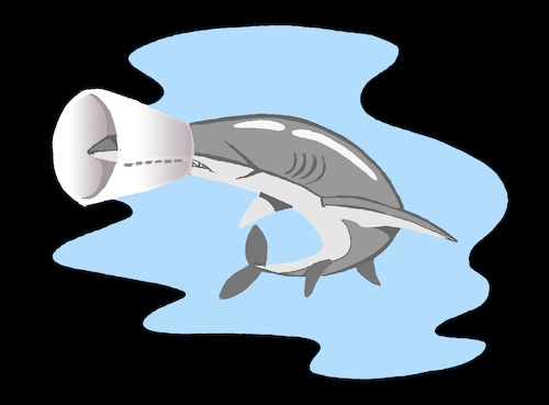 Cartoon: Spiny Dogfish... (medium) by berk-olgun tagged spiny,dogfish