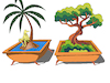 Cartoon: Bonsai Palm Tree... (small) by berk-olgun tagged bonsai,palm,tree