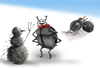 Cartoon: Winter Scarab.. (small) by berk-olgun tagged winter scarab