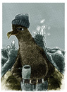 Cartoon: sturmvogel (small) by jenapaul tagged humor,sturmvogel,tiere,portrait,natur