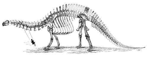 Cartoon: brontoswing (medium) by zu tagged brontosaur,swing