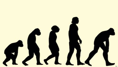 Cartoon: Evolution (medium) by zu tagged evolution,darwin