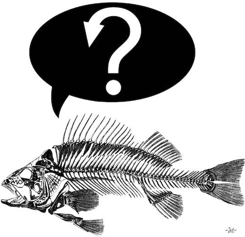 Cartoon: Fish hook (medium) by zu tagged fish,hook,question,mark,skeleton