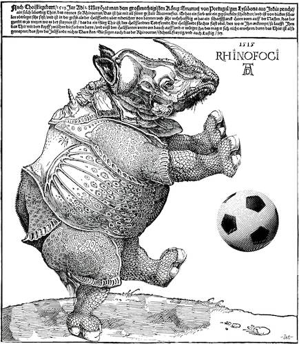 Cartoon: Rhyno-football (medium) by zu tagged rhynoceros,football,dürer
