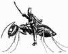 Cartoon: Hero (small) by zu tagged ant,hussar