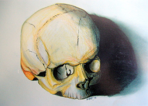 Cartoon: Skull (medium) by Stenope tagged skull