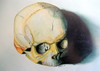 Cartoon: Skull (small) by Stenope tagged skull