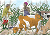 Cartoon: The farmers and herdsmen conflic (small) by Popa tagged farmers,herdmen,agriculture,livestock,africa,conflicts
