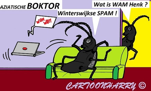 Cartoon: Aziatische Boktor (medium) by cartoonharry tagged toonpool,holland,dutch,cartoonharry,cartoonist,cartoon,boktor,winterswijk
