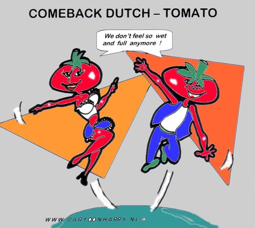 Cartoon: Comeback Dutch Tomatoes (medium) by cartoonharry tagged tomato,germany,juicy,comeback,cartoonharry
