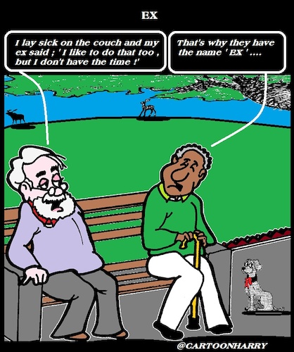 Cartoon: Ex (medium) by cartoonharry tagged ex