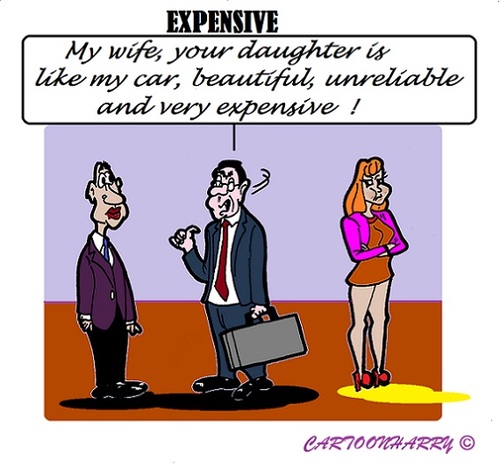 Cartoon: Expensive Wife (medium) by cartoonharry tagged man,wife,unreliable,car,expensive