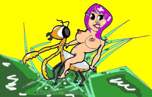 Cartoon: Grasshopper (medium) by cartoonharry tagged insects,girls,nude,cartoonharry,dutch,cartoonist,toonpool