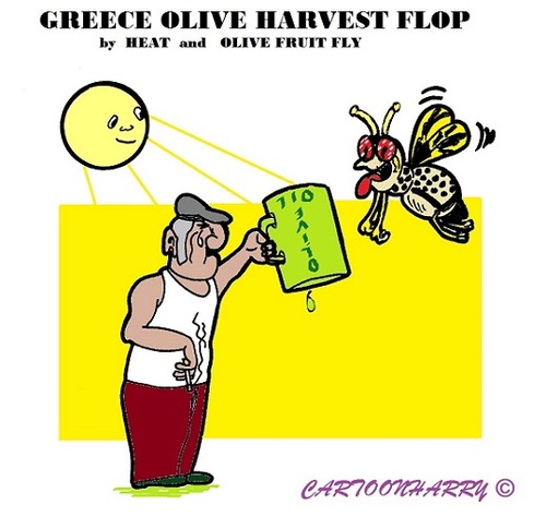 Cartoon: Harvest Flop (medium) by cartoonharry tagged greece,harvest,flop,oliveoil