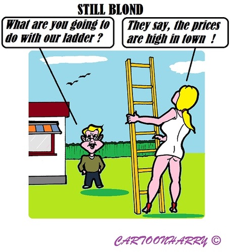 Cartoon: High Prices (medium) by cartoonharry tagged town,blond,girl,daddy,prices,ladder
